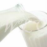 The Best Sources of Calcium for Older Women