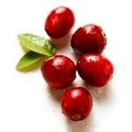 Cranberry Juice for Urinary Tract Health