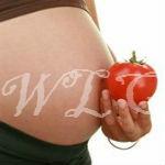 Seven Foods Pregnant Women Should Avoid