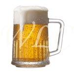 Best Beers for Weight Loss